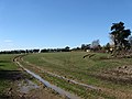 Old Town Field - geograph.org.uk - 1742946.jpg