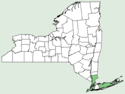 Oldenlandia uniflora NY-dist-map.png
