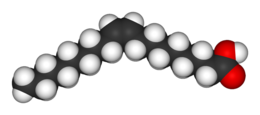 Oleic acid space-filling model