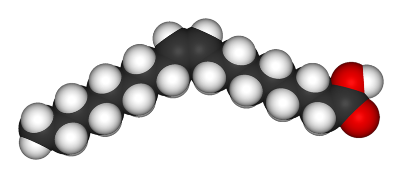 Acido ossalico (acido etandioico) (COOH)₂ - scena 3D