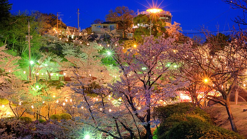 File:Onomichi city at night during Hanami (Sakura blooming season). Hiroshima Prefecture. Japan-2.jpg