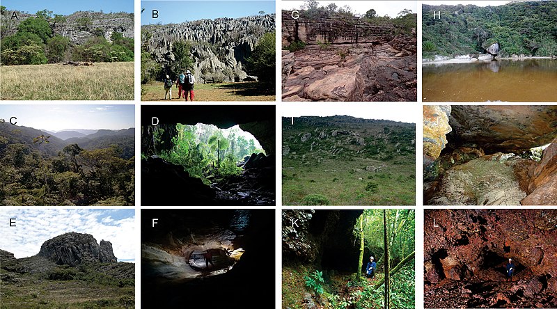 File:Outcrops and caves from Brazil (10.3897-zookeys.737.20307) Figure 4.jpg