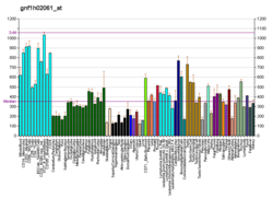 PBB GE C3orf10 gnf1h02061 bei fs.png