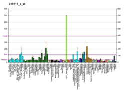 PBB GE CMAS 218111 s در fs.png