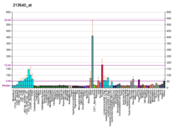 PBB GE HSD17B8 213540, fs.png'de