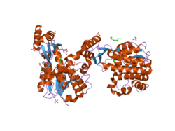 PDB 2c2n EBI.png