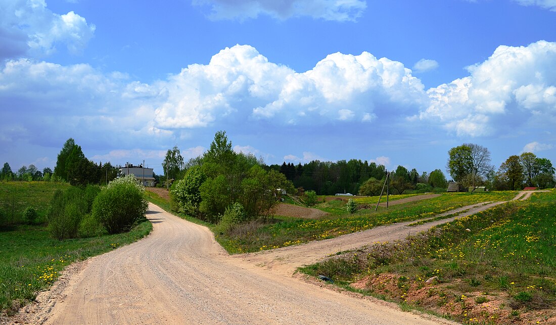 Pamiškiai (Riešė)