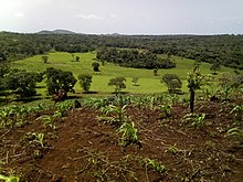 Paysage de Ngaoundaba, près de Ngaoundéré.