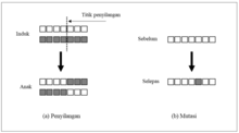 penyilangan, mutasi, algoritma genetik, crossover, mutation