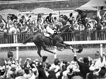 Phar Lap winning the Melbourne Cup, "the race that stops a nation" PharLap.JPG