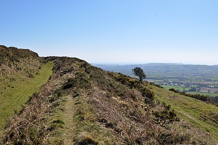 Pilsdon Pen, 2nd highest point of Dorset and an Iron Age hill fort