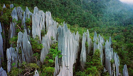 The pinnacles of Mulu