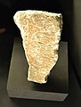 Placa amb cérvola gravada, paleolític superior, MARQ.JPG
