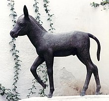 Estatua de Platero en Casa Museo J.R.J. de Moguer.