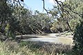 English: Darling River seen from the Old Wharf site at Pooncarie, New South Wales