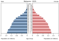 Українська: Віково-статева піраміда населення Малайзії за 2015 рік. Вона дає наочне уявлення про вікову і статеву структура населення країни, може слугувати джерелом інформації про політичну і соціальну стабільність, економічний розвиток. Блакитними кольорами ліворуч, у вигляді горизонтальних смуг показані вікові групи (по 5 років кожна) чоловічої статі, праворуч рожевими — жіночої. Наймолодші вікові групи — внизу, найстаріші — вгорі. Форма піраміди поступово еволюціонує з плином часу під впливом чинників народжуваності, смертності і світової міграції.