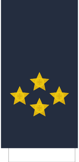 File:Portugal-AirForce-OF-10.svg