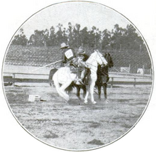 Riders in a mounted potato race. The rider on the white horse has just scored a point by placing a potato in his side's basket. Potato race 2.png