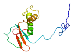 PDB rendering based on 1qkl.