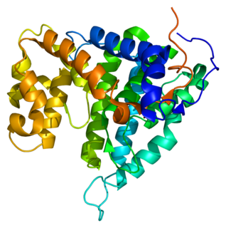 PPP2R4 Protein-coding gene in the species Homo sapiens