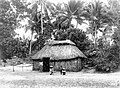 Puerto Rico - Palm Thatched Hut (1905).jpg