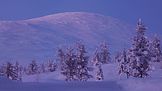 Pallastunturi fjell in Muonio in die winter skemer