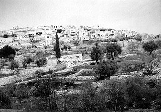 <span class="mw-page-title-main">Qalunya</span> Place in Jerusalem, Mandatory Palestine