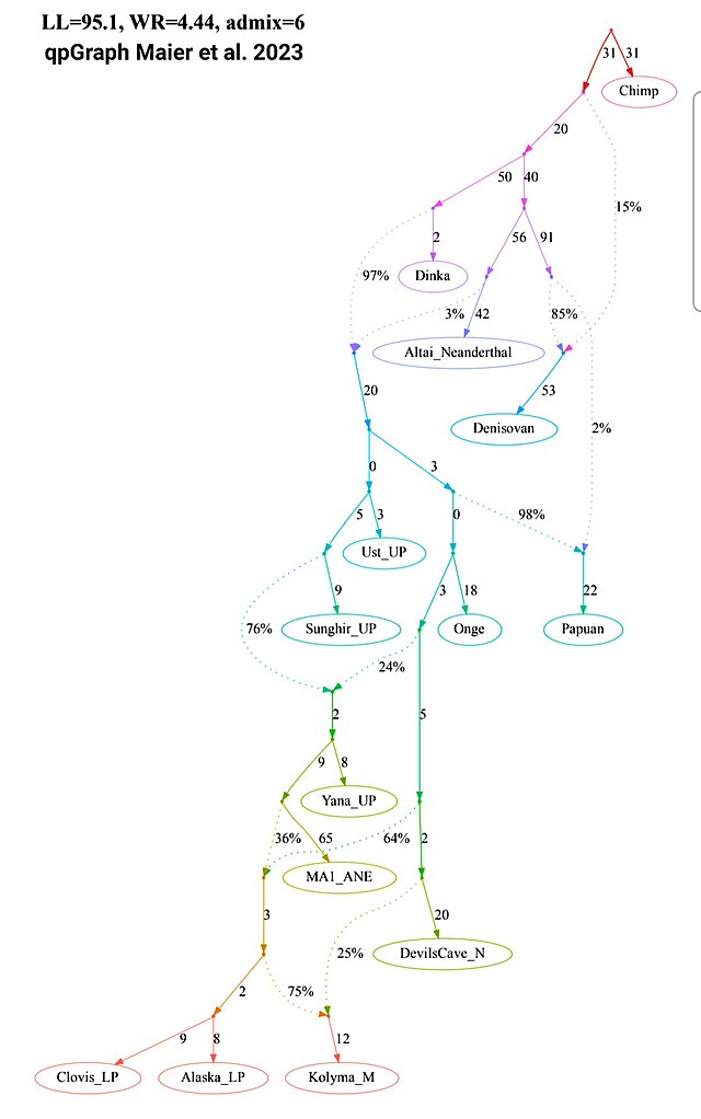 A qpGraph (best fit) by Maier et al. 2023, showing the formation of Ancient North Siberians/Eurasians (ANS/ANE) and their subsequent contribution to the formation of Ancient Paleo-Siberian