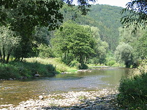 Upė ties Porubka