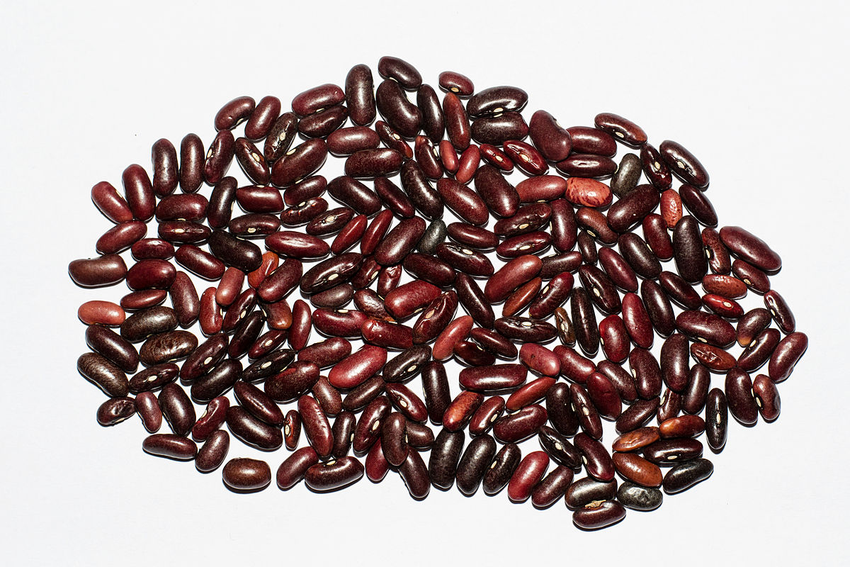 Kidney bean -