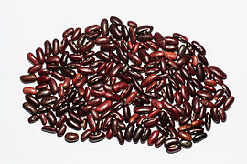 赤いんげん豆（英語版）