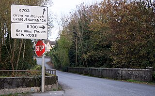 <span class="mw-page-title-main">R703 road (Ireland)</span> Road in Ireland