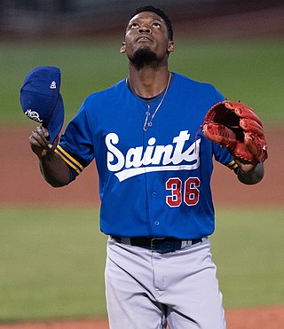 <span class="mw-page-title-main">Robinson Leyer</span> Dominican baseball player (born 1993)