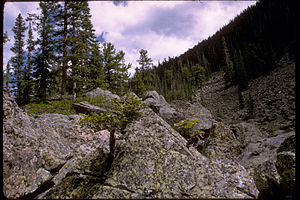 Rocky Mountain National Park ROMO9049.jpg