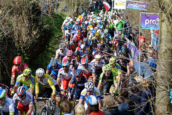 The peloton during the race