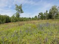 Vignette pour Réserve naturelle régionale des Annelles, Lains et Pont Pinnet