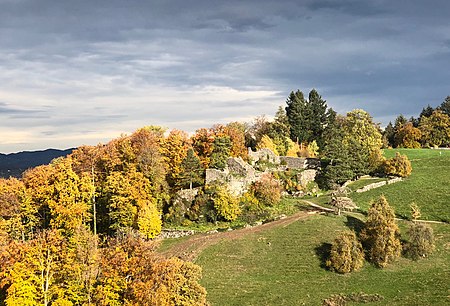 Ruine Wädenswil