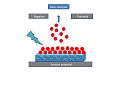 Thumbnail for Surface-assisted laser desorption/ionization