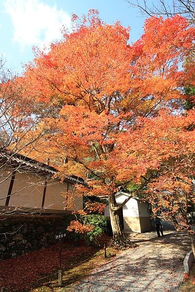 File:Saganisonin Monzen Chojincho, Ukyo Ward, Kyoto, Kyoto Prefecture 616-8425, Japan - panoramio.jpg