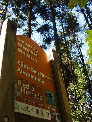 <span class="mw-page-title-main">Monarch Butterfly Biosphere Reserve</span>