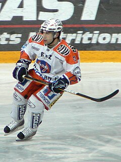 Steve Saviano American-Italian ice hockey player