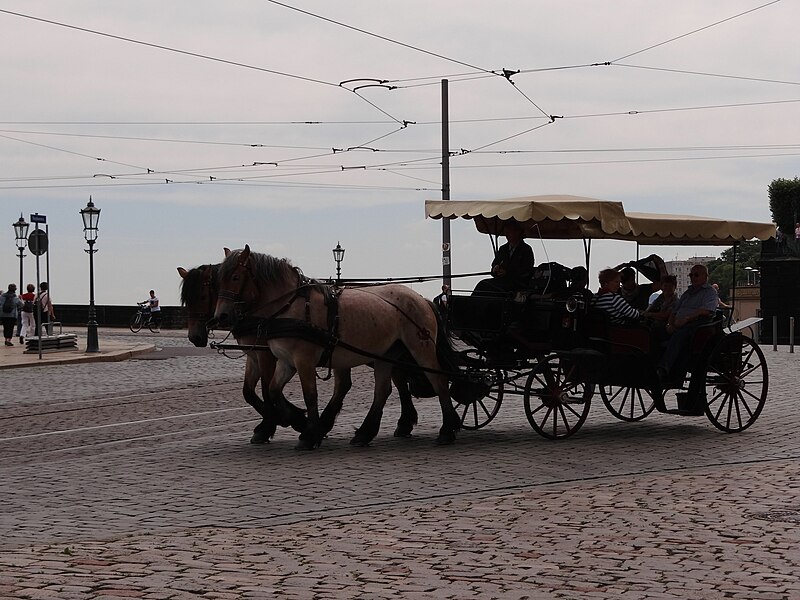 File:Schloßplatz, Dresden (806).jpg