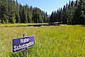 Geschütztes Moorgebiet Schwarzsee in Arosa/Schweiz, Blick in Richtung Haus Paradies.