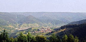 Schwarzwald.jpg