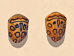 Scutelleridae - Sphaerocoris annulus.JPG