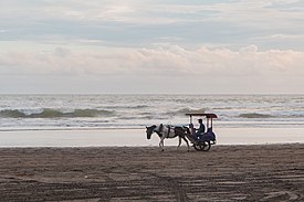 Sepi Pengunjung - Pantai Parangtritis, Bantul, DIY