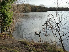 Sheepwalk Lake (5) .jpg