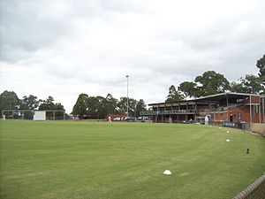 Shepley Oval.jpg 