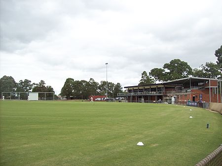 Shepley Oval