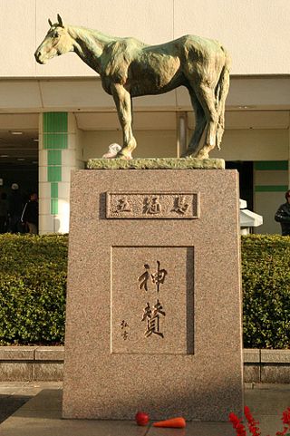 <span class="mw-page-title-main">Shinzan</span> Japanese-bred Thoroughbred racehorse